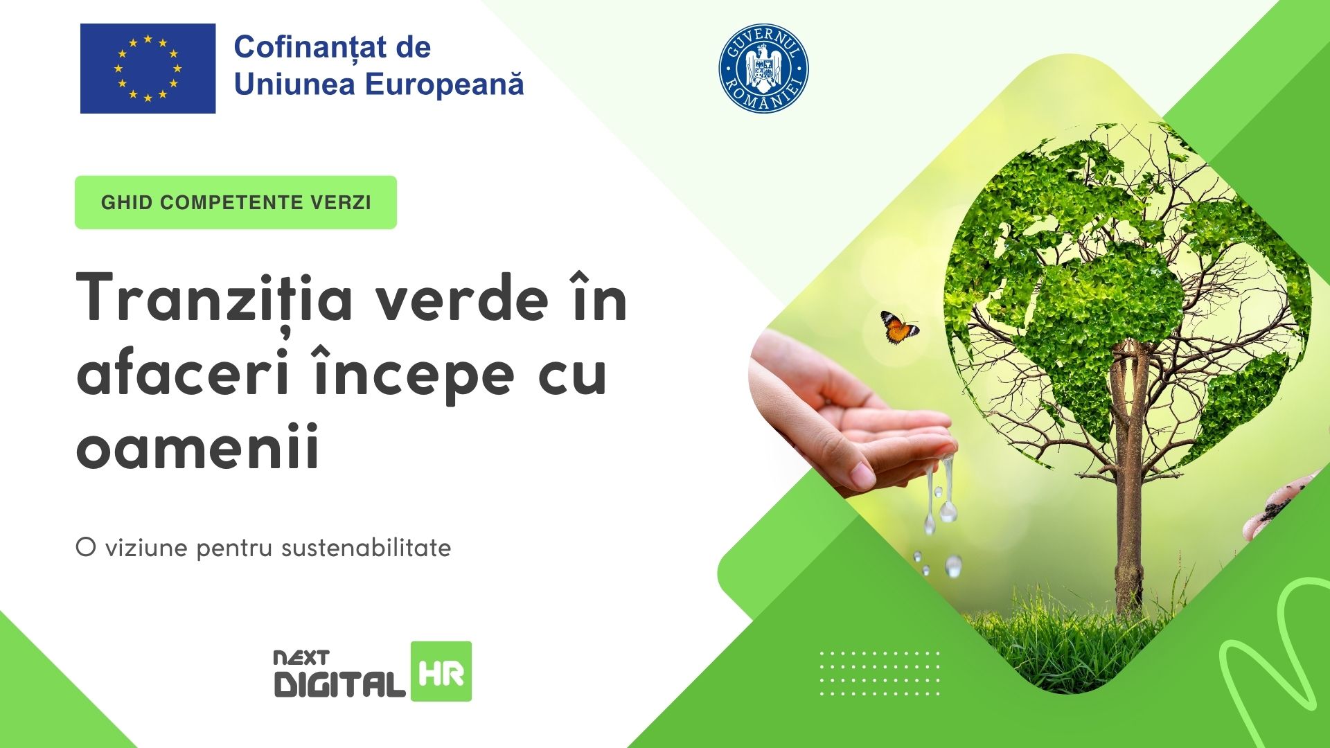 Ghidul de identificare a competențelor viitoare pentru locuri de muncă verzi și economie verde